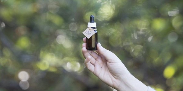 Pourquoi choisir CBDouce pour votre consommation de CBD bio